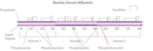 Bovine Serum Albumin solution, 30%+/-2% in 0.85% sodium chloride, aseptically filled