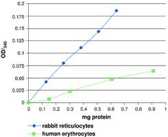 Glutathione Peroxidase Cellular Activity Assay Kit, Sufficient for 100 colorimetric tests