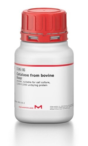 Catalase from bovine liver, powder, suitable for cell culture, 2,000-5,000 units/mg protein