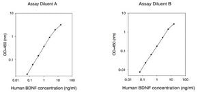 Human BDNF ELISA Kit