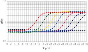 SYBR(R) Green JumpStart(TM) Taq ReadyMix(TM), for quantitative PCR, MgCI2 in buffer