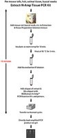 REDExtract-N-Amp(TM) Tissue PCR Kit