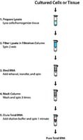 GenElute(TM) Mammalian Total RNA Miniprep Kit, sufficient for 350 purifications