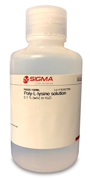 Poly-L-lysine solution, 0.1 % (w/v) in H2O