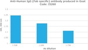 Anti-Human IgG (Fab specific) antibody produced in goat, affinity isolated antibody, buffered aqueous solution