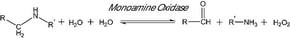 Monoamine Oxidase A human, recombinant, expressed in baculovirus infected BTI insect cells