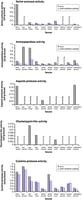 Protease Inhibitor Cocktail, for plant cell and tissue extracts, DMSO solution