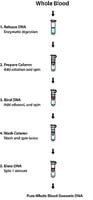 GenElute(TM) Blood Genomic DNA Kit, sufficient for 350 purifications