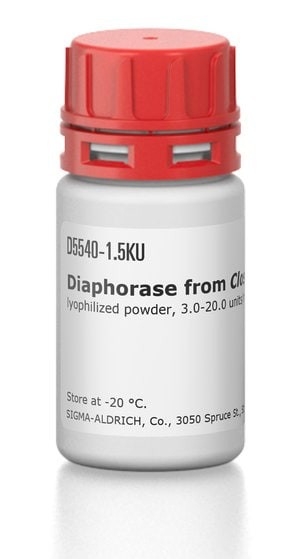 Diaphorase from Clostridium kluyveri, lyophilized powder, 3.0-20.0 units/mg protein (biuret)