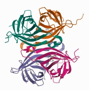 Streptavidin-Agarose from Streptomyces avidinii, buffered aqueous suspension