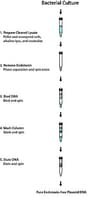 GenElute(TM) Endotoxin-free Plasmid Midiprep Kit, sufficient for 35 purifications