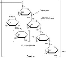 Dextranase from Penicillium sp., lyophilized powder, 400-800 units/mg protein