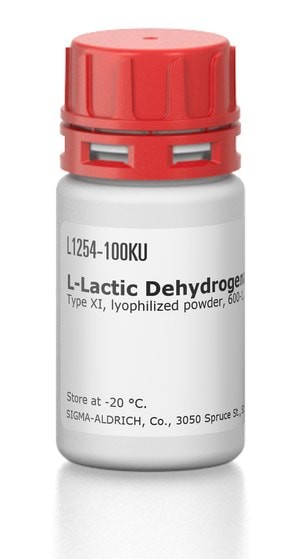 L-Lactic Dehydrogenase from rabbit muscle, Type XI, lyophilized powder, 600-1,200 units/mg protein