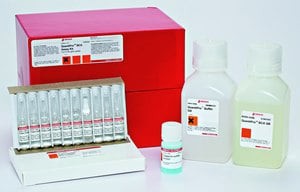 QuantiPro(TM) BCA Assay Kit, for 0.5-30 mug/ml protein