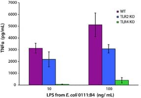 Lipopolysaccharides from Escherichia coli O111:B4, purified by ion-exchange chromatography, TLR ligand tested