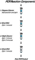 GenElute(TM) PCR Clean-Up Kit, sufficient for 70 purifications