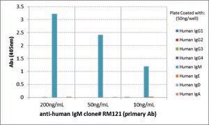 Anti-Human IgM antibody, Rabbit monoclonal