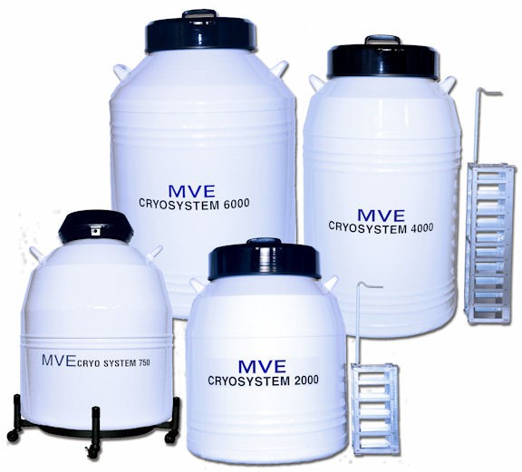 Contenitore criobiologico alta capacità MVE modello CRYOSYSTEM 2000