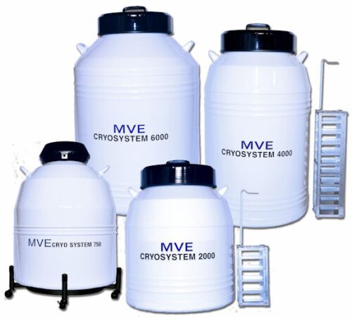 Contenitore criobiologico alta capacità MVE modello CRYOSYSTEM 4000