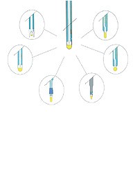 Soluzione di pulizia degli elettrodi per campioni proteici/organici, 250 mL