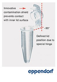 Microprovette Eppendorf, tappo Safelock Biopur, fondo conico, colore neutro, singole sterili ml 0,5