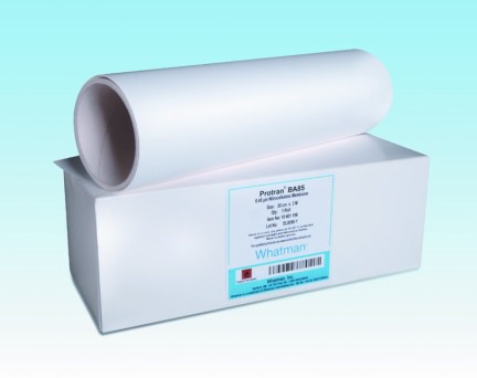 MEMBRANE IN NYLON NYTRAN SERIE N DIM.MM.300x3000 0,45µm 1 ROTOLO